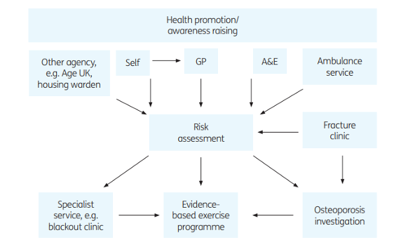 Falls Prevention - Collaborative Model