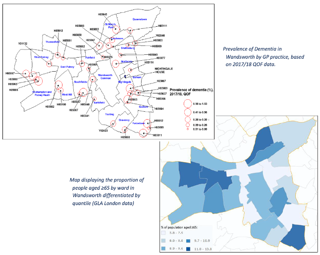 Dementia Prevalence Geographic Variation Data