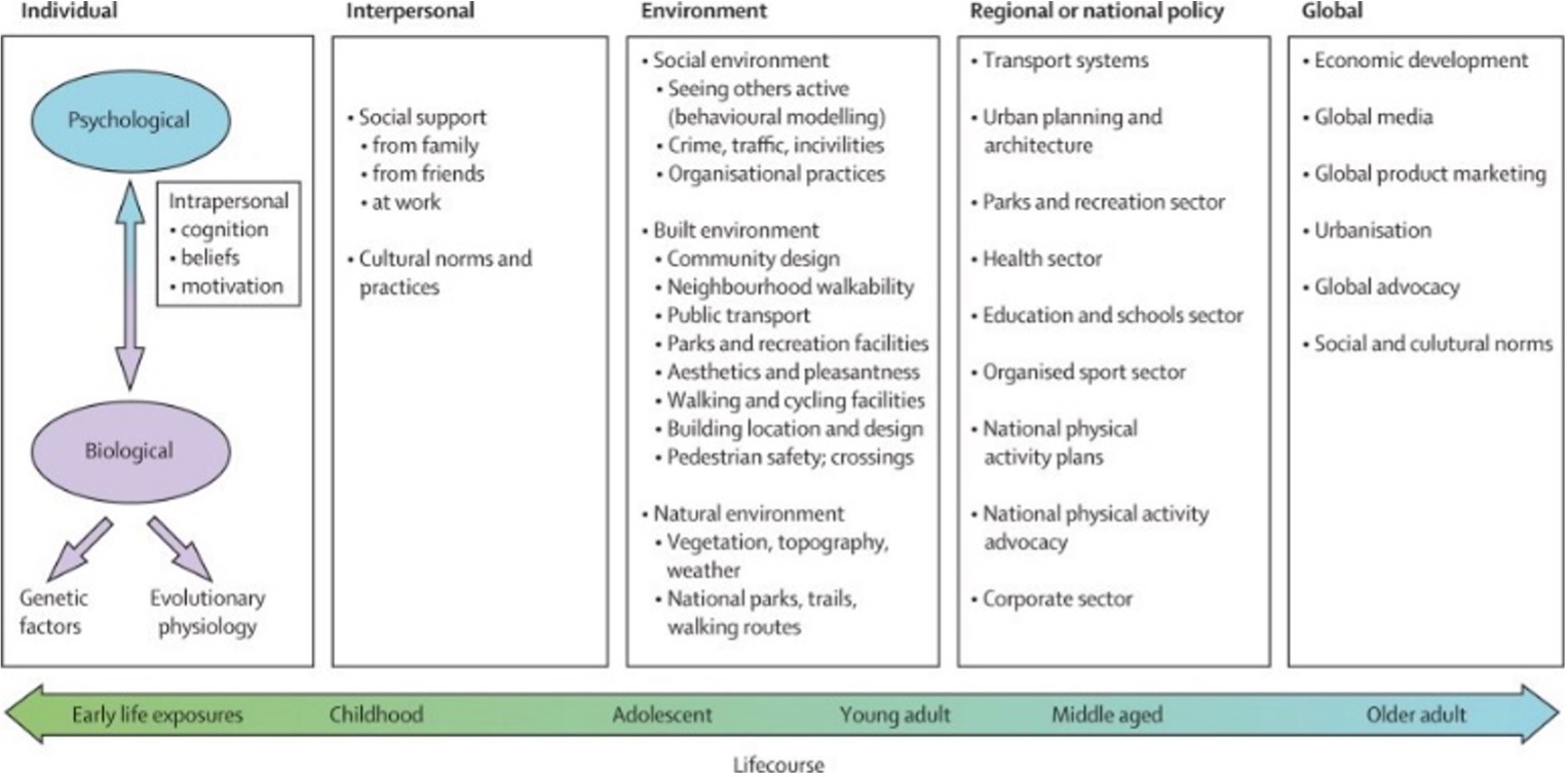 Adapted ecological model of the determinants of physical activity