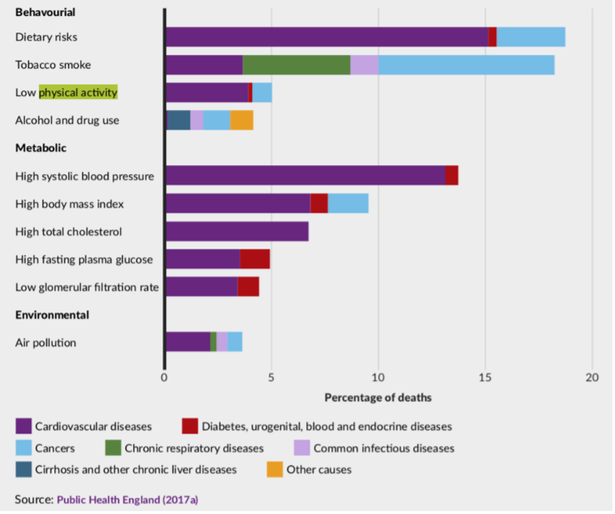 Attribution of deaths to risk factors, by broad cause of death, England 2013