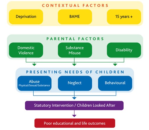 Frequent Reasons for Entering Care