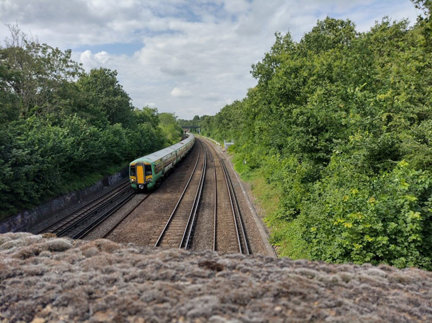 Fig. 12:The London to Brighton railway line cuts deep into the Common. In this view the Conservation Area is on the right and Tooting Bec Lido is on the left.