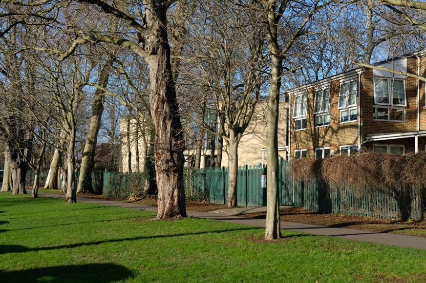 Fig. 60: Ibstock School from the central avenue, neutral contributors to the CA