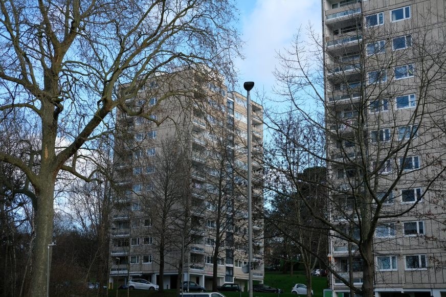 Fig. 115: another view of the Point Blocks with tree cover