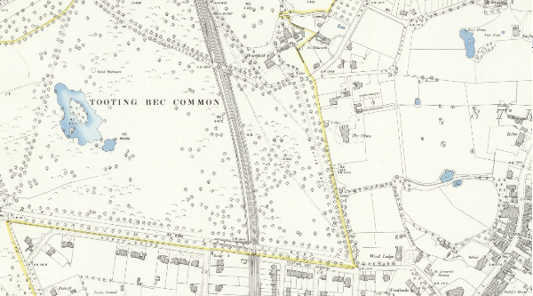 Fig. 3: 1894 OS Map. Streatham Park, to the south, has been developed for housing